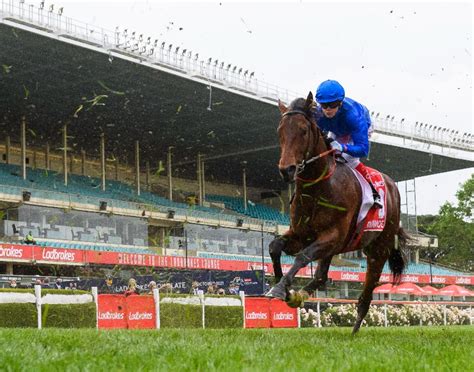 randwick guineas 2022|Anamoe Dominates Randwick Guineas 2022 Field & Odds.